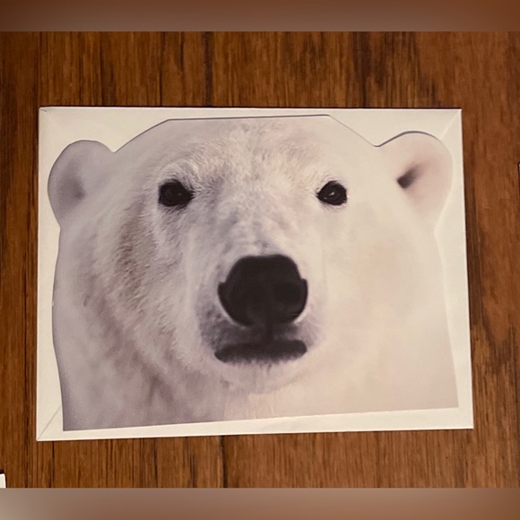 Thinking of You Cards Lot of 9 NATURE, BIRDS, DOGS greeting NOS - Picture 6 of 16